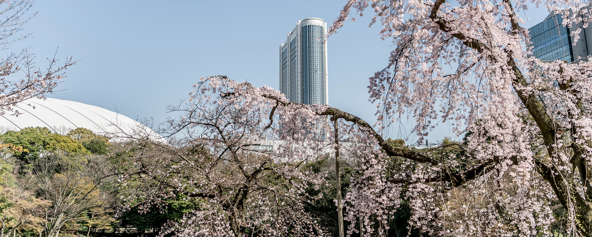 文京教会の紹介